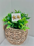 Boucle d'oreille Stella